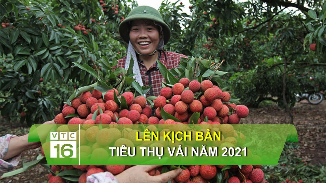 Video ngắn – Giải pháp truyền thông thông minh cho doanh nghiệp nhỏ_ứng dụng chỉnh sửa video miễn phí
